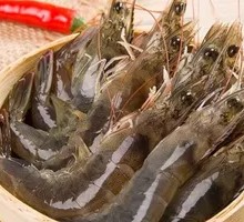 Fresh Tiger Prawns