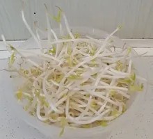 Bean sprouts