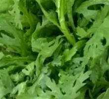Chinese chrysanthemum greens