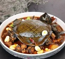 Soft-shelled Turtle with Local Chicken