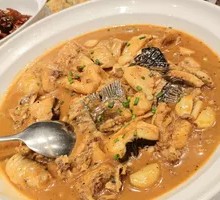 Two-Style Freshwater Catfish