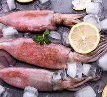 Fresh Squid