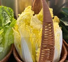 Baby Bok Choy Unlimited