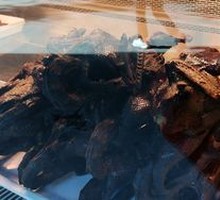 Zhang's Braised and Roasted Duck