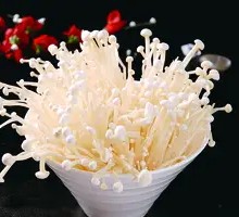 Enoki Mushroom