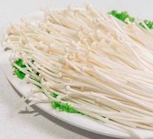 Enoki Mushroom