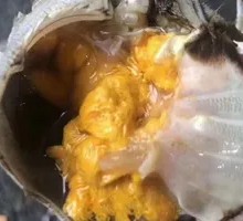 Female Crab