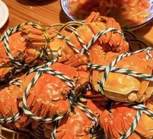 Freshwater Crab