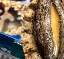 Fujian Abalone