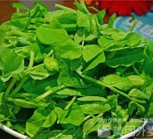 Pea Shoots