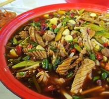 Spicy Squid