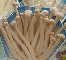 Chicken Leg Mushroom