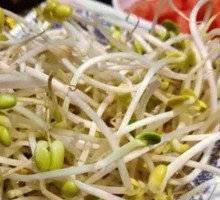 Bean sprouts