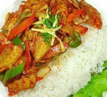 Scallion Stir-Fried Lamb Rice Bowl