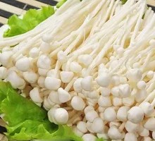 Enoki Mushroom