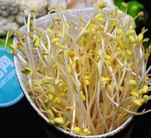 Bean sprouts
