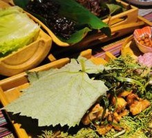 Tree Flower Rainforest Mushroom