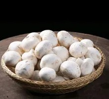 Fresh Button Mushroom