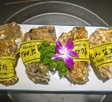 Rushan Palm-sized Live Oyster