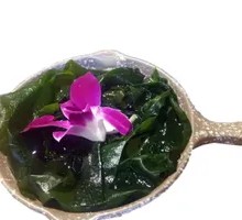 8-Second Kelp Sprout