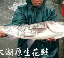 Signature White-Cut Chicken