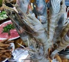 Hot Pot Large Green Shrimp