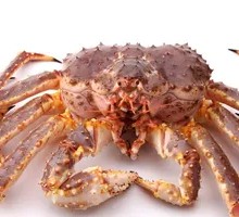 Fresh Emperor Crab
