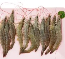 Fresh Tiger Prawns