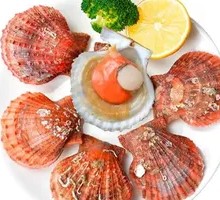 Fresh Scallop
