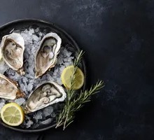 Fresh Oysters