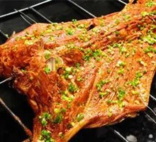 Inner Mongolia Live Lamb