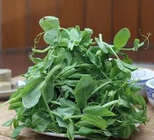 Pea Shoots