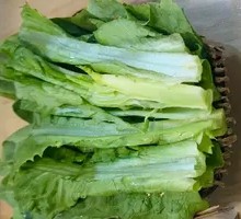 Oilseed lettuce