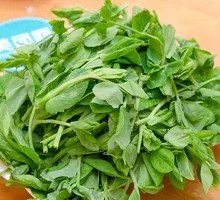 Pea Shoots