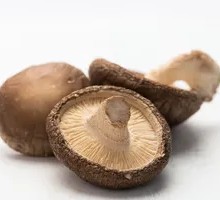 Shiitake Mushroom