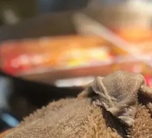 Fresh Beef Tripe from the Slaughterhouse