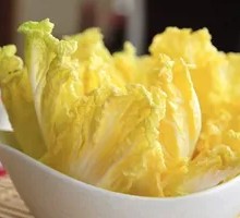 Napa cabbage