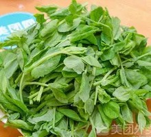Pea Shoots
