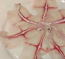 Fresh Hairtail Fish Slices