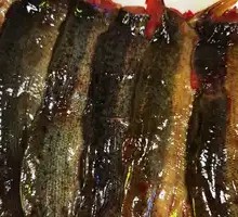 Fish Slices
