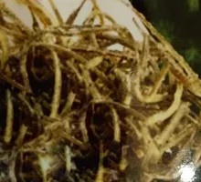 Crispy Fried Sea Dragon