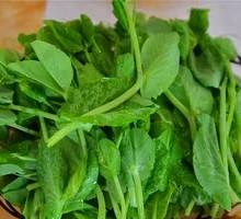 Pea Shoots