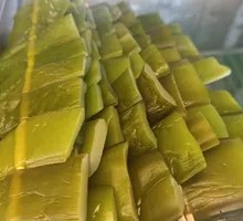 Sea lettuce