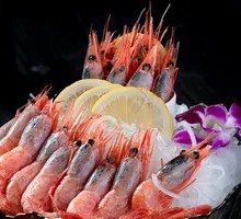 Arctic Sweet Shrimp