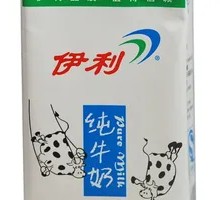 Yili Pure Milk