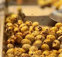 Braised Quail Eggs