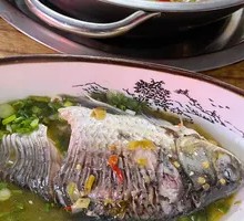 Spineless Wild Crucian Carp