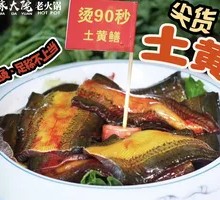 Freshly Killed Wild Eel