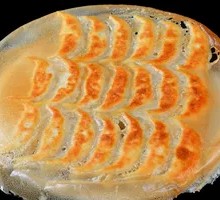 Fishnet Pan-Fried Dumplings