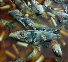 Yellow Braised Wild Crucian Carp